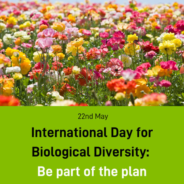 International Day for Biological Diversity: Smiley Monroe are ‘Part of the Plan’