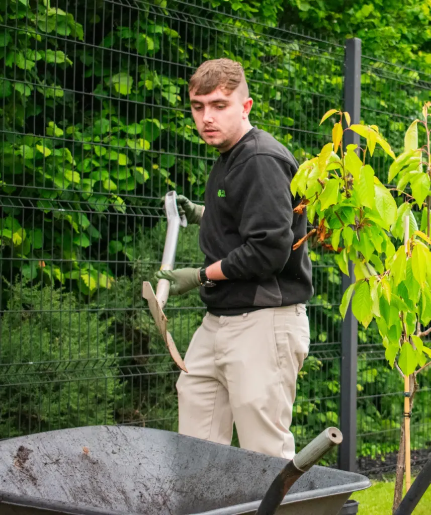 Digging a hole to plant a tree