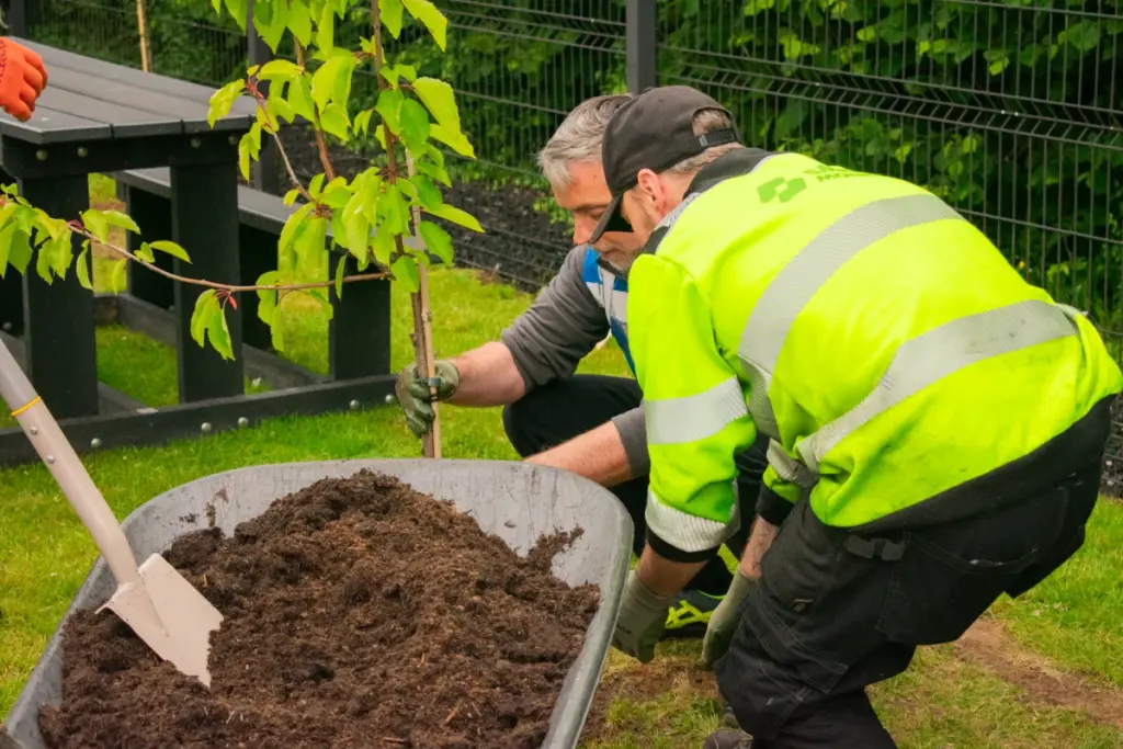 Smiley Monroe tree planting